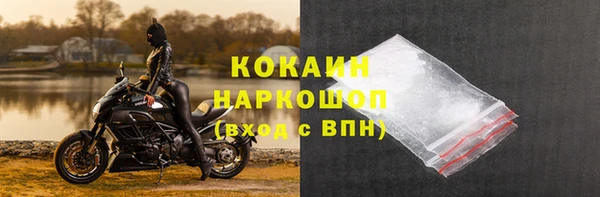 ПСИЛОЦИБИНОВЫЕ ГРИБЫ Горняк