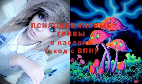 Альфа ПВП Вяземский