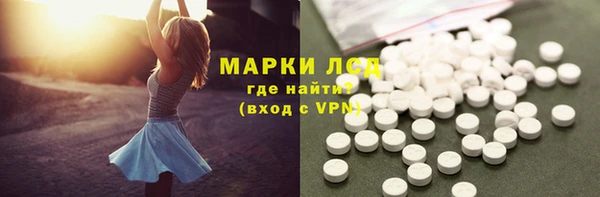 ПСИЛОЦИБИНОВЫЕ ГРИБЫ Горняк