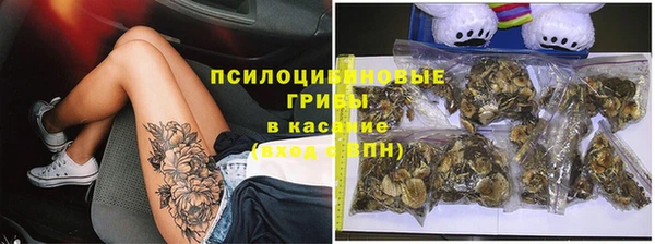 Альфа ПВП Вяземский
